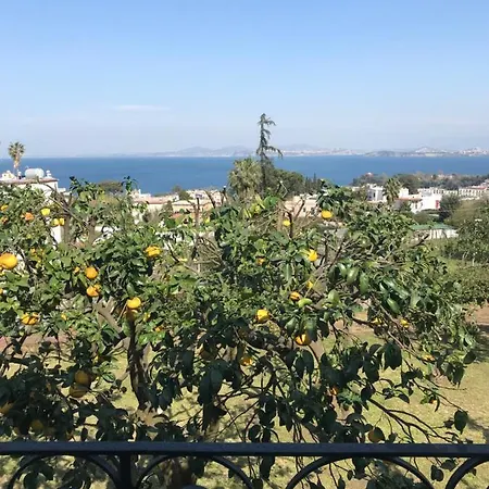 Mare Ischia